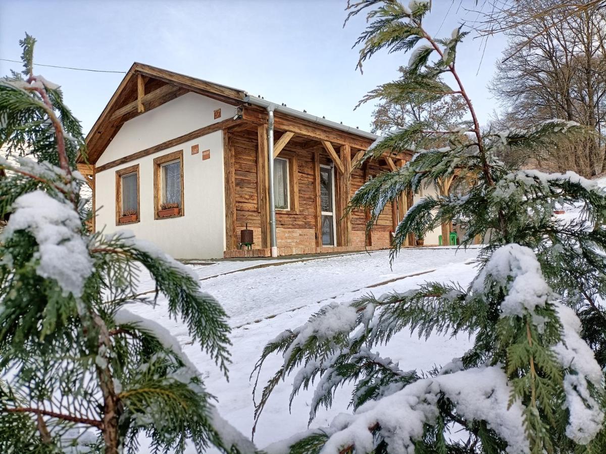 Liget Vendeghaz Villa Szokolya Exterior photo